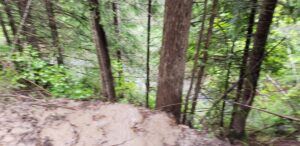 Roadway runoff flowing over the bank into the creek below.