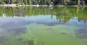 072824_Hayden_Lake_Algal_Bloom