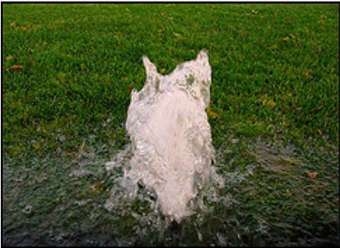 Broken sprinkler geyser pic