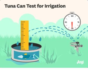 Tuna can test graphic