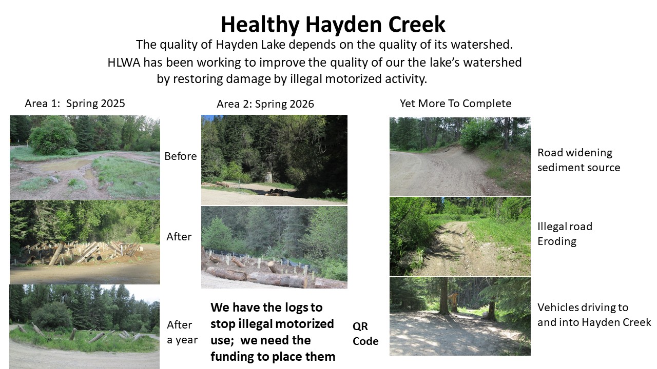 Healthy Hayden Creek