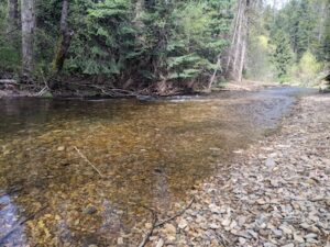 haydencreek