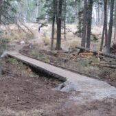 English Point, Photo by Geoff Harvey