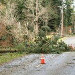 powerline down sq-400x400